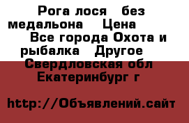 Рога лося , без медальона. › Цена ­ 15 000 - Все города Охота и рыбалка » Другое   . Свердловская обл.,Екатеринбург г.